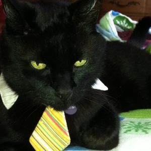 Meet your Posher, Lori